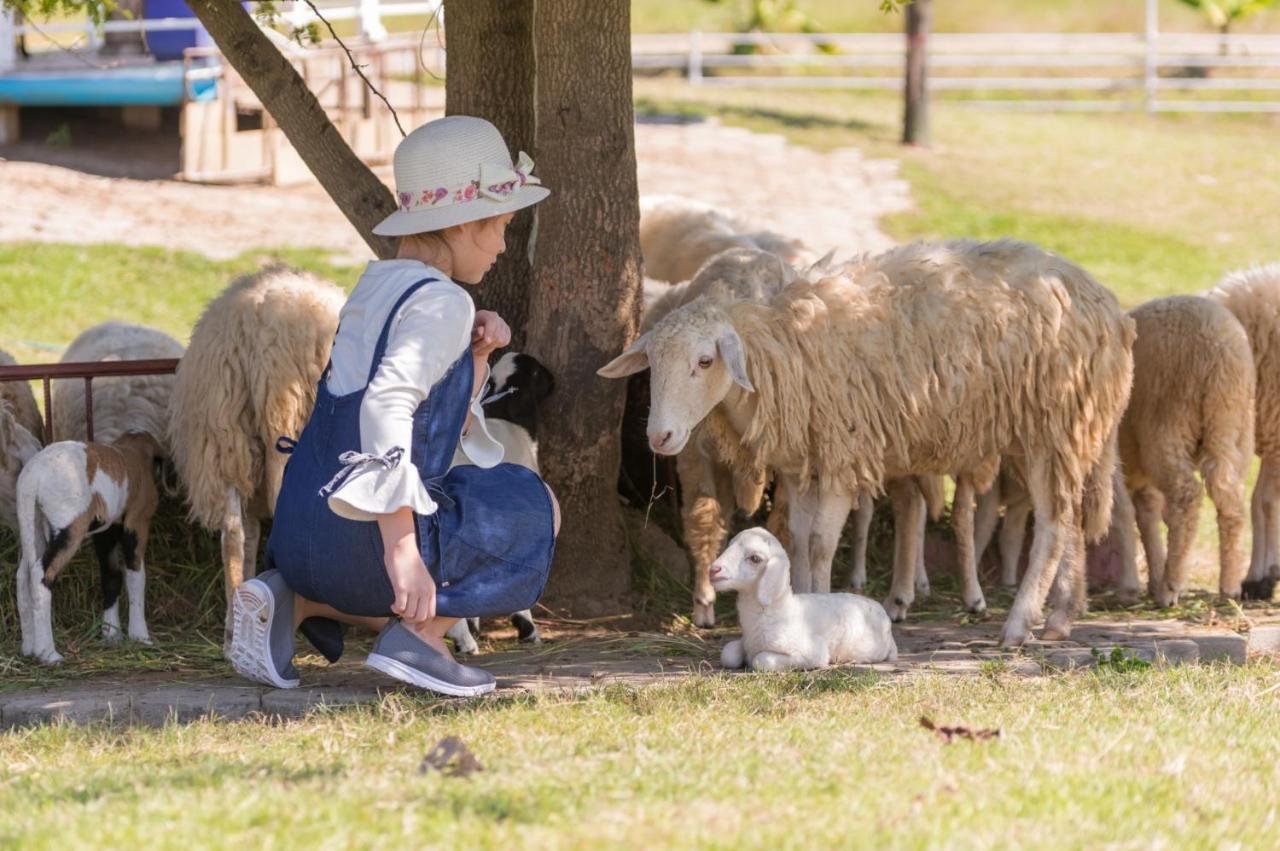 Oon Valley Farm Stay Szankampheng Kültér fotó
